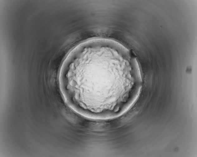 X0000097640671200803142048