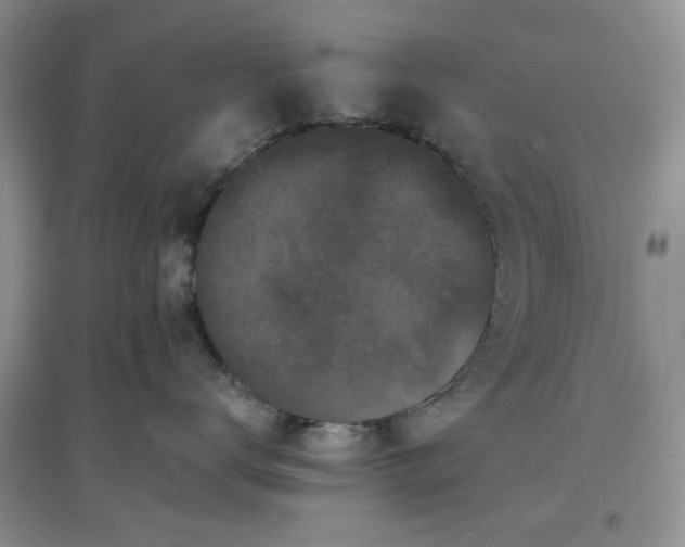 X0000097640672200803142048