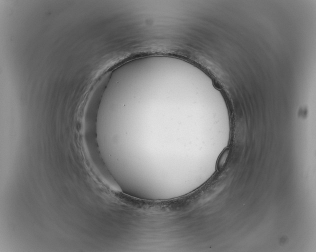 X0000097640673200803142047