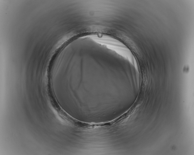 X0000097640674200803142047