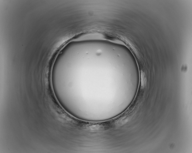 X0000097640675200803142047