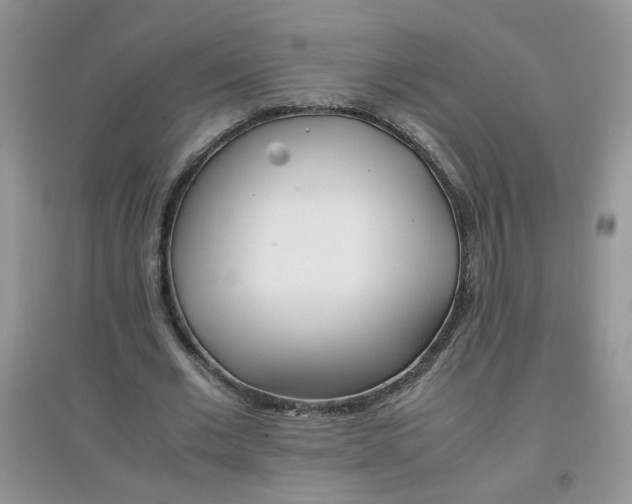 X0000097640677200803142047