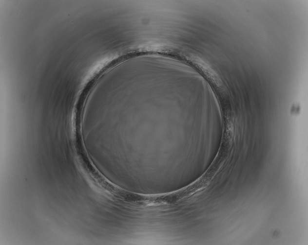 X0000097640678200803142047