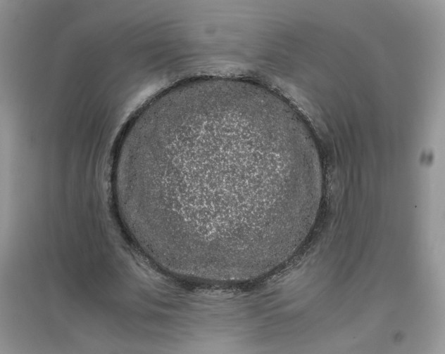 X0000097640679200803142047