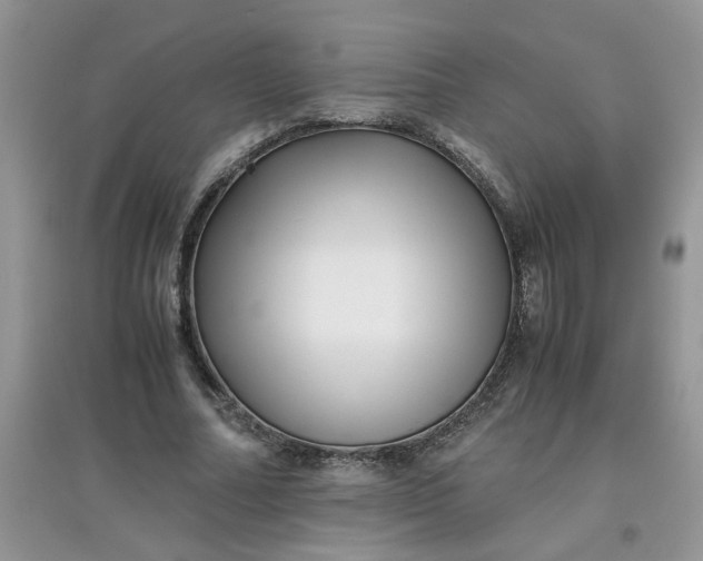 X0000097640682200803142047