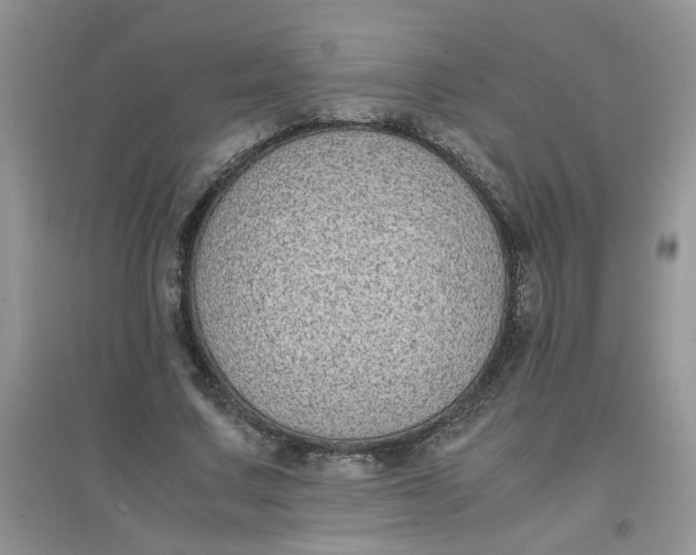 X0000097640683200803142047