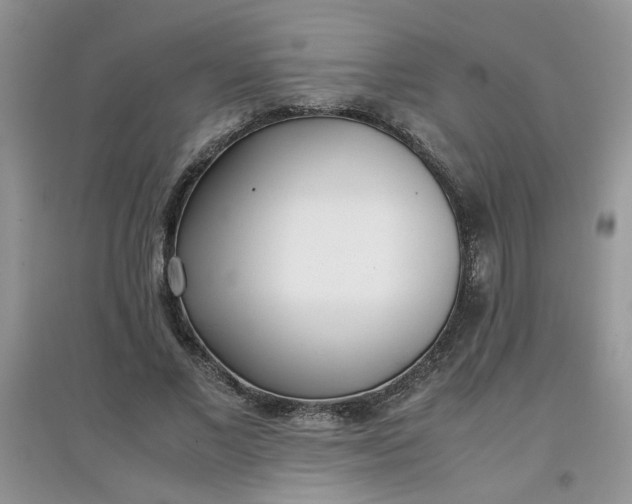 X0000097640685200803142047