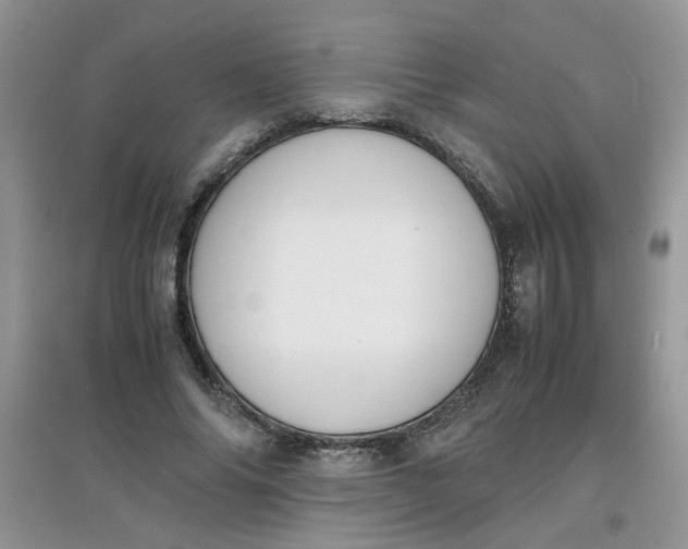 X0000097640686200803142047