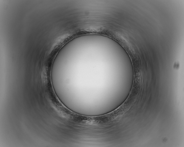 X0000097640688200803142047