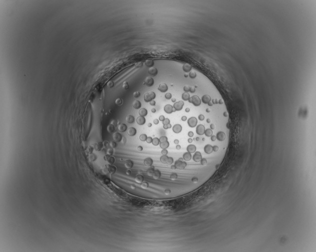 X0000097640689200803142047