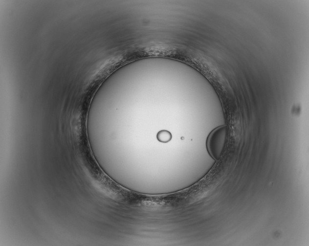 X0000097640690200803142047