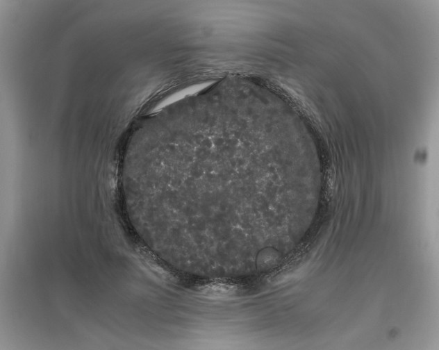 X0000097640691200803142047