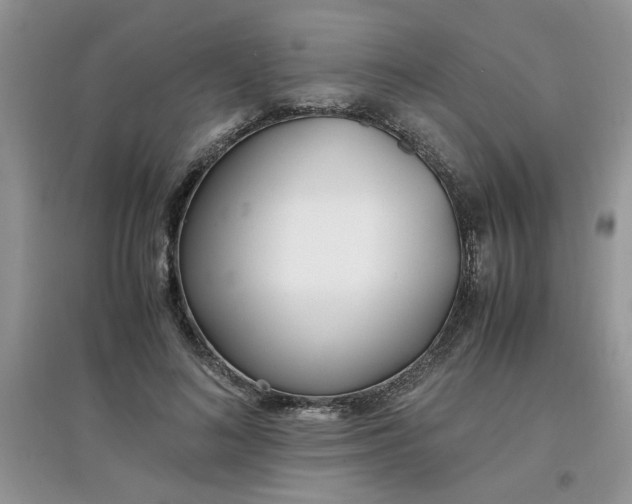 X0000097640692200803142047