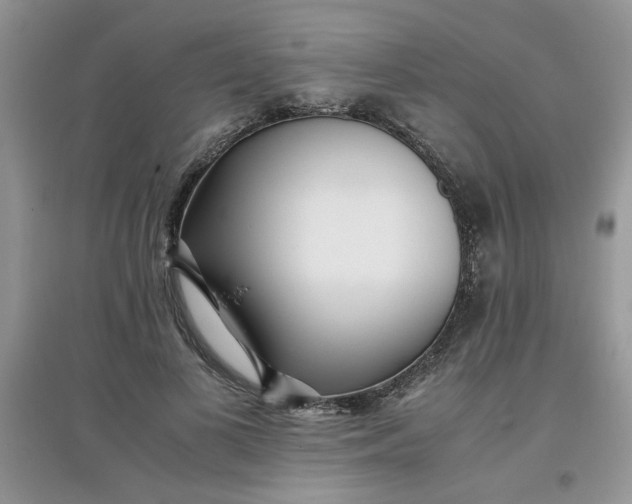 X0000097640693200803142047