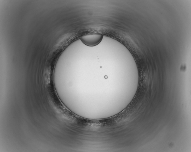 X0000097640694200803142047