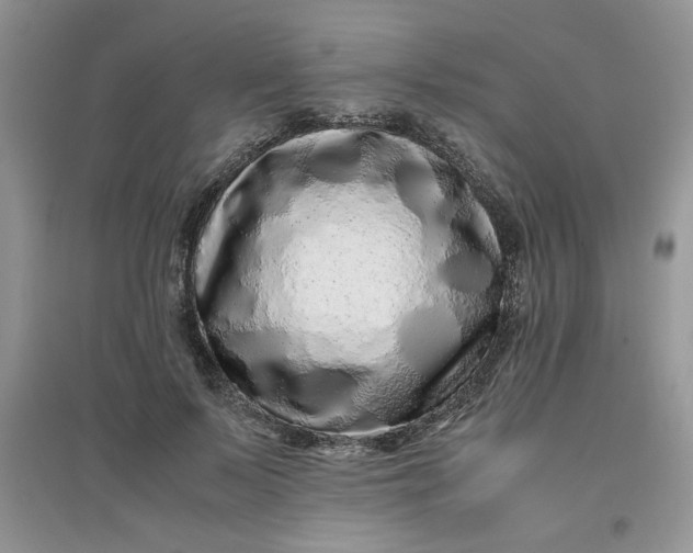 X0000097640695200803142047