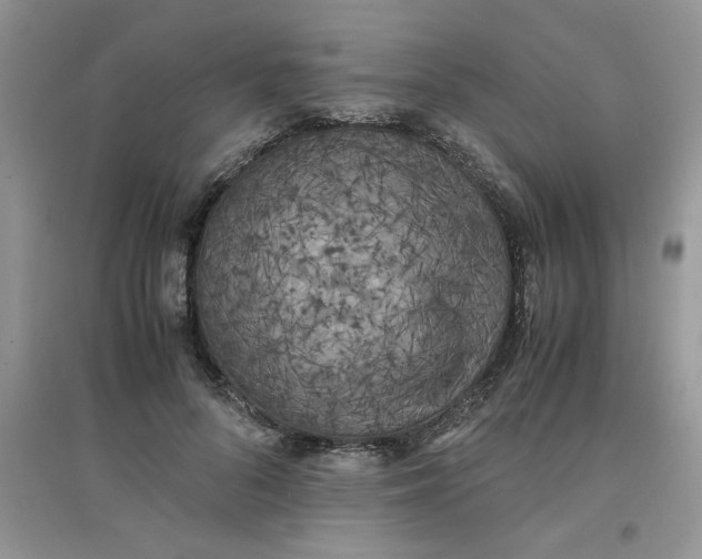 X0000097640696200803142047