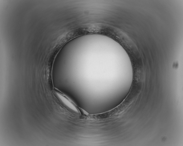 X0000097640697200803142047