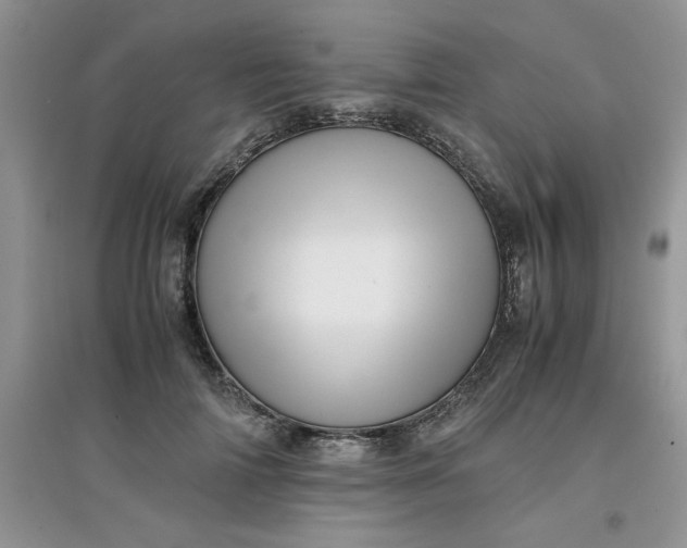 X0000097640698200803142047