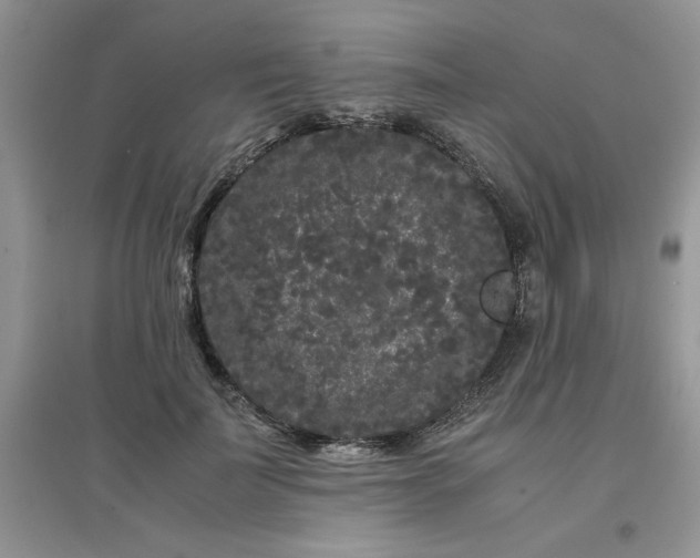 X0000097640699200803142047