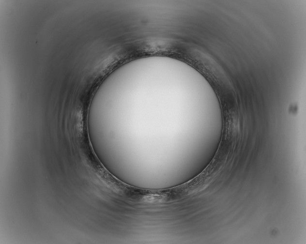 X0000097640700200803142047