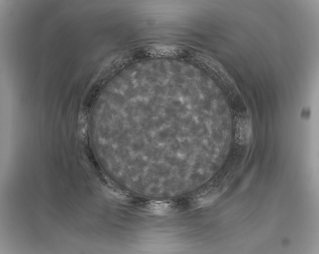 X0000097640701200803142047