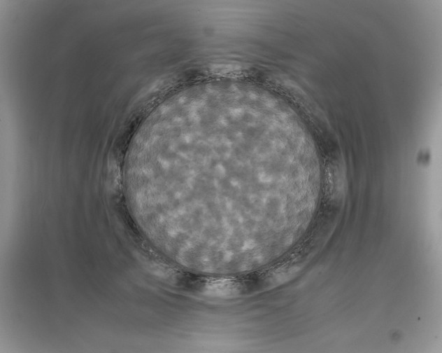 X0000097640705200803142047