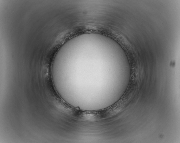 X0000097640706200803142047