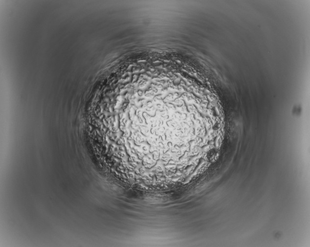 X0000097640707200803142047