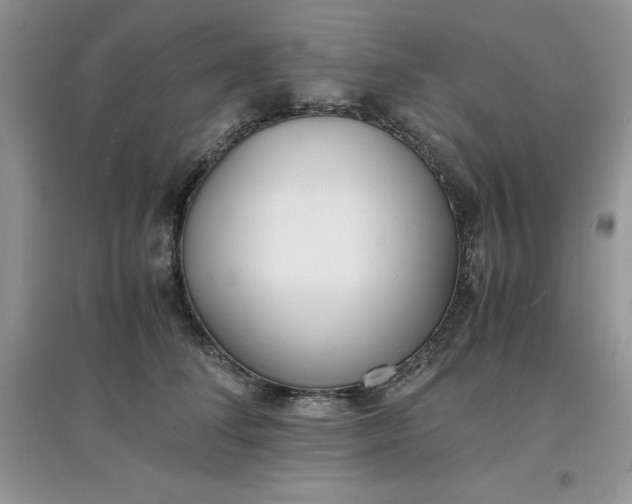 X0000097640708200803142047