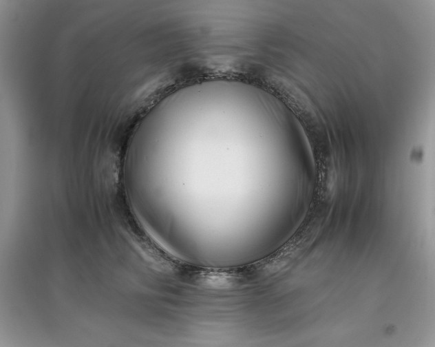 X0000097640710200803142047