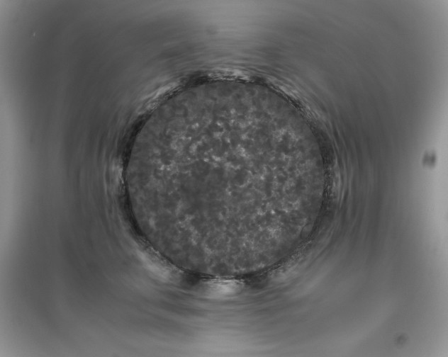 X0000097640711200803142047