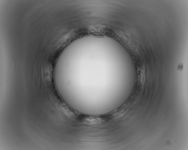 X0000097640712200803142047