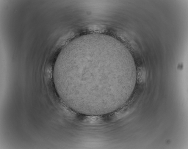 X0000097640713200803142047