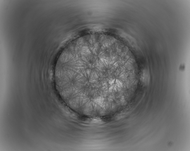 X0000097640715200803142047