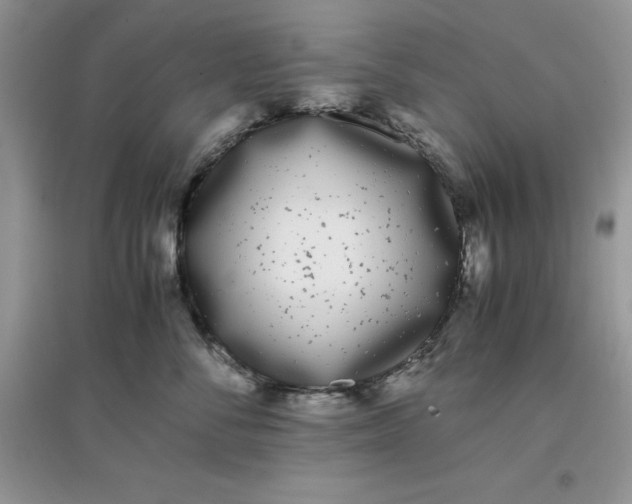 X0000097640716200803142047