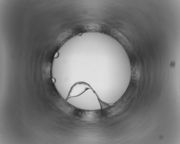 X0000097640717200803142047