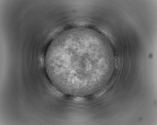 X0000097640718200803142047