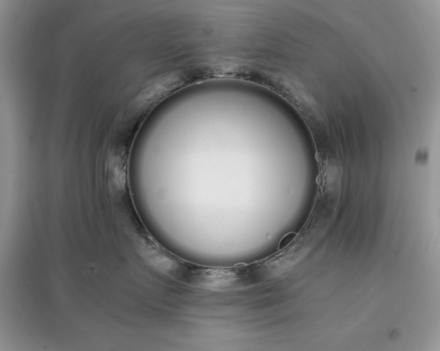 X0000097640719200803142047