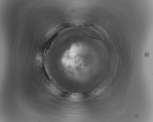 X0000097640720200803142047