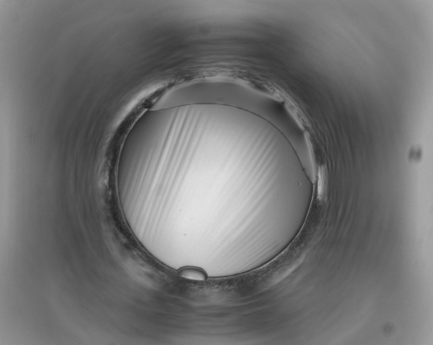 X0000097640723200803142046