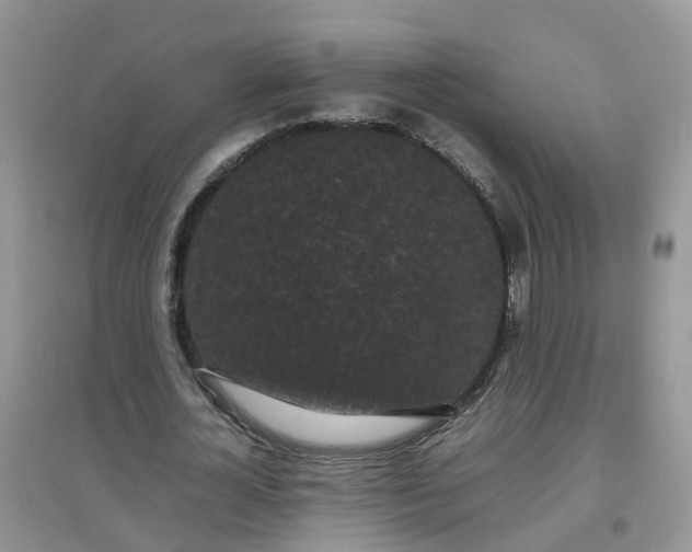 X0000097640724200803142046