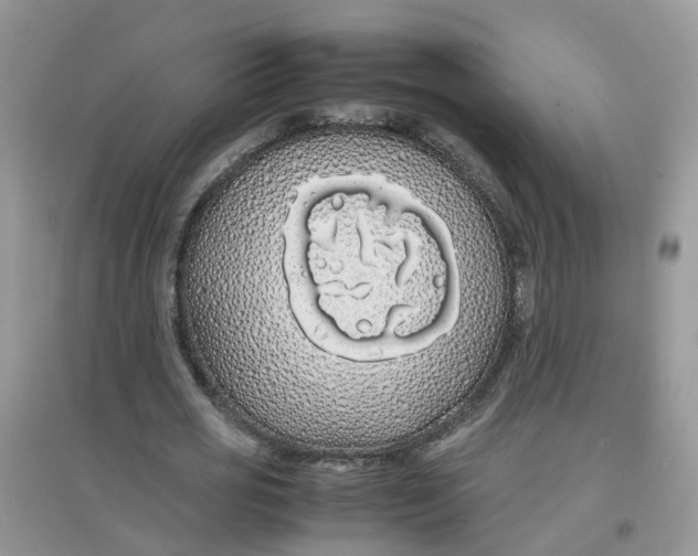 X0000097640725200803142046