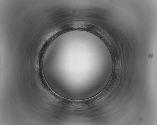 X0000097640727200803142046