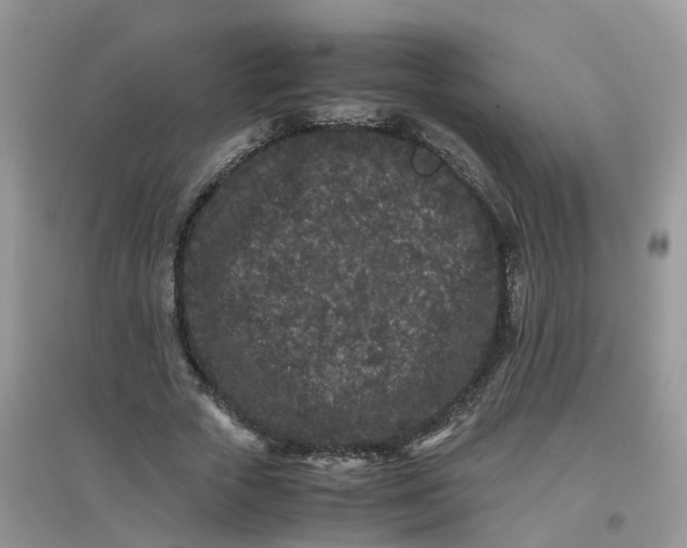 X0000097640729200803142046