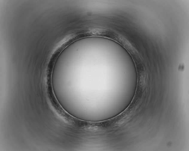 X0000097640730200803142046