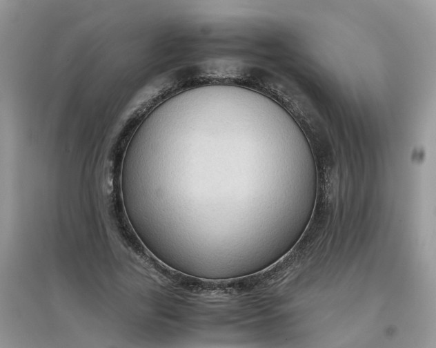 X0000097640731200803142046