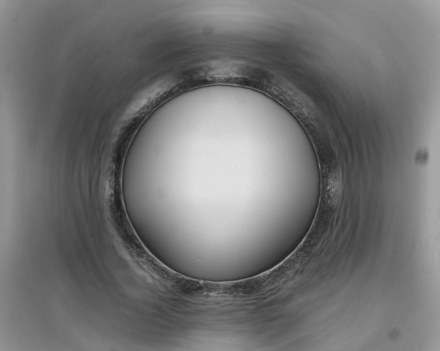 X0000097640732200803142046