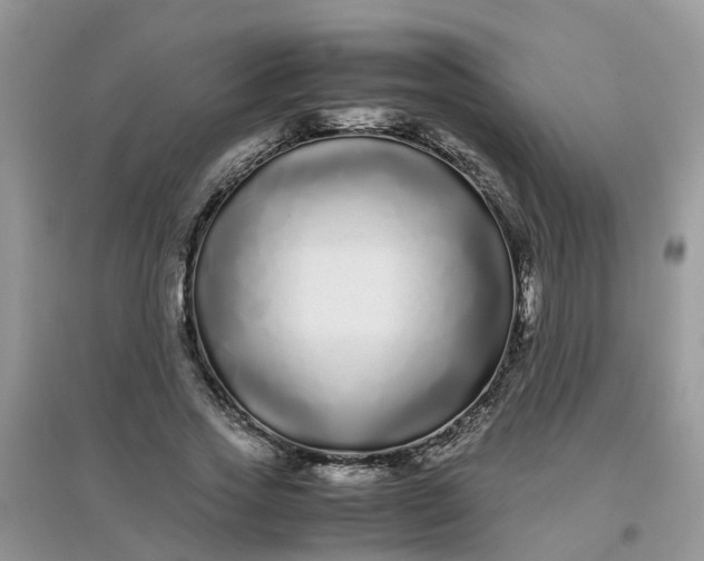 X0000097640733200803142046