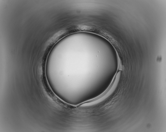 X0000097640734200803142046